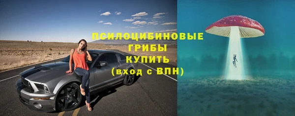 МДПВ Аркадак