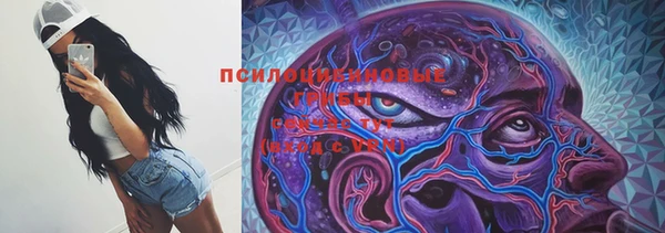 герыч Арсеньев
